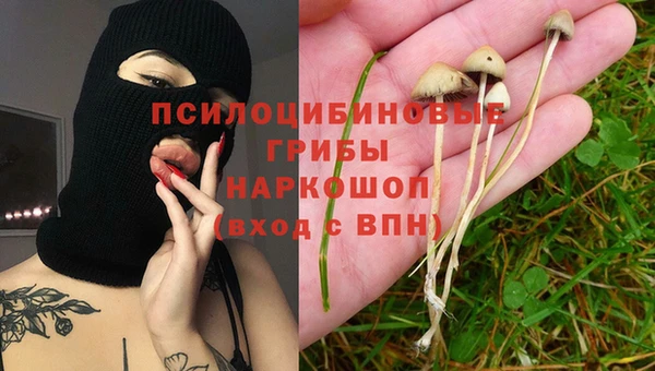 PSILOCYBIN Алзамай