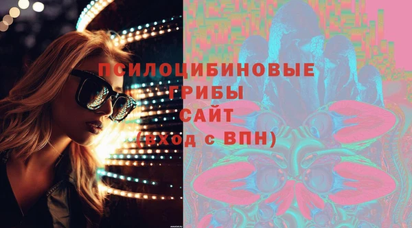 PSILOCYBIN Алзамай