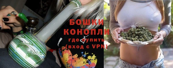 PSILOCYBIN Алзамай